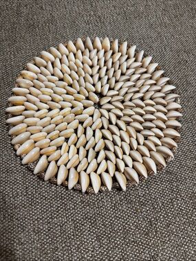 Vintage Handmade Cowrie Seashell coaster, Plant base, trivet, wall decor 8”